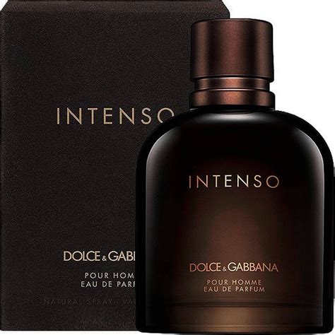 parfum dolce gabbana pour homme avis